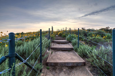 Walkway amidst flower buses against sky