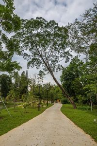 Road amidst trees against sky
