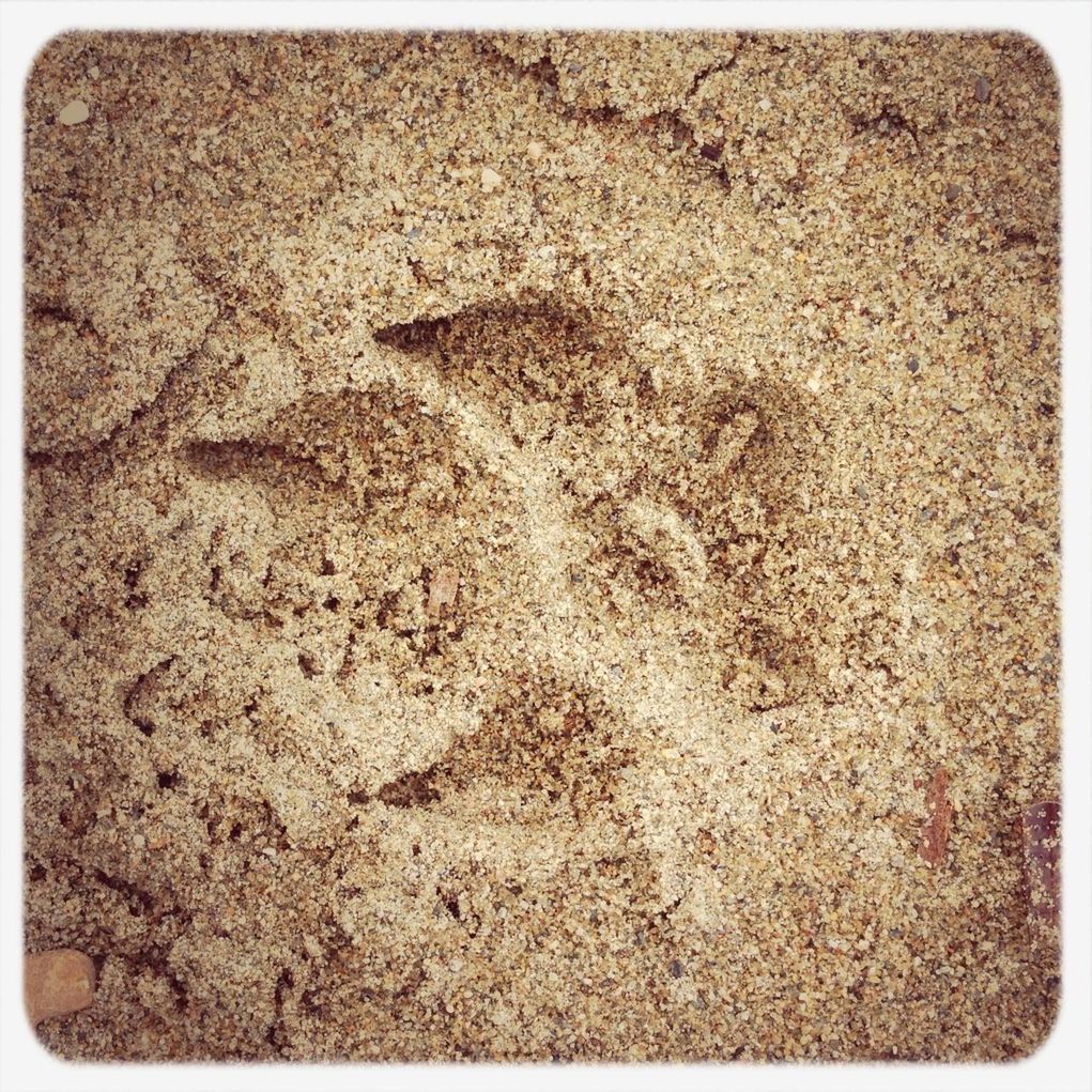 transfer print, sand, auto post production filter, beach, textured, full frame, backgrounds, footprint, high angle view, rough, day, no people, close-up, outdoors, nature, ground, shore, pattern, sunlight, stone - object