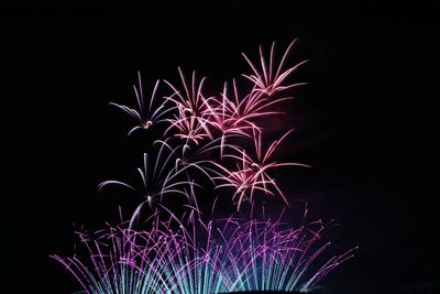 Festival fireworks in japan.. low angle view of firework display at night