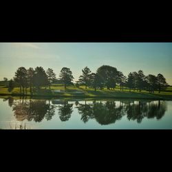 Reflection of trees in calm lake