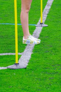 Low section of man standing on grass