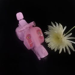 Close-up of pink flowers against black background