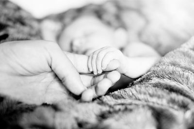 Close-up of baby hand