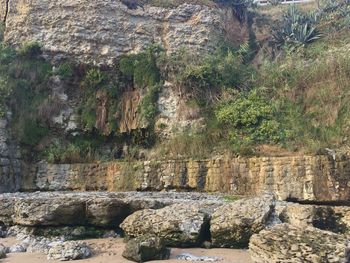 Scenic view of cliff by trees