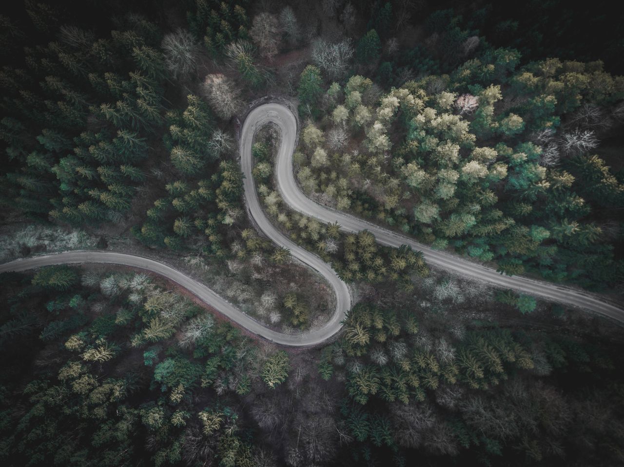 high angle view, road, beauty in nature, no people, nature, night, outdoors, winding road, tree, galaxy, drone