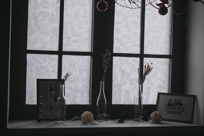 Potted plants on table at home