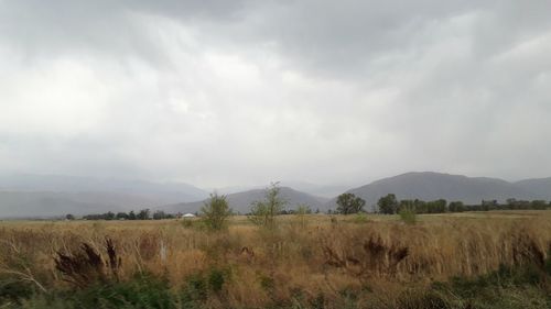 Scenic view of field against sky