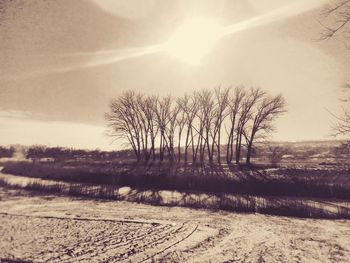 Scenic view of landscape against sky