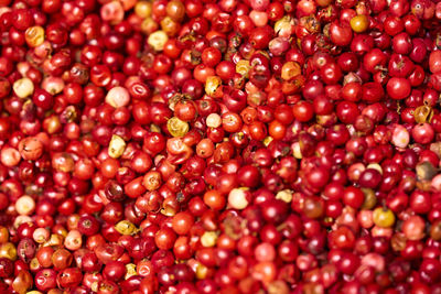 Full frame shot of red peppercorns