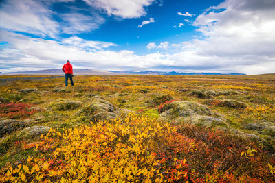 landscape