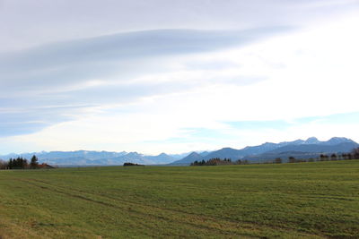 Scenic view of field against sky