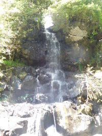 Scenic view of waterfall in forest
