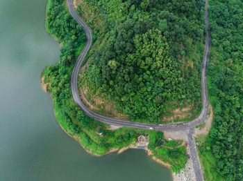 High angle view of plants on land