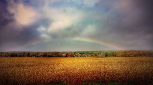 Scenic view of field against cloudy sky
