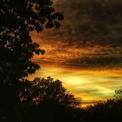 Low angle view of silhouette trees against sky at sunset