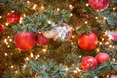 Close-up of christmas tree