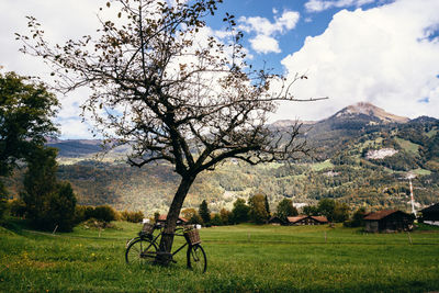 Bicycle on field by trees against sky