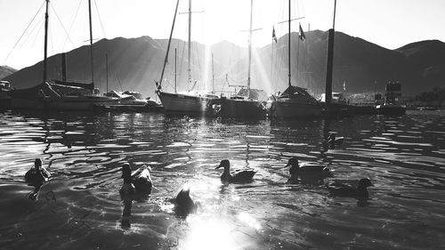 Boats in water against sky