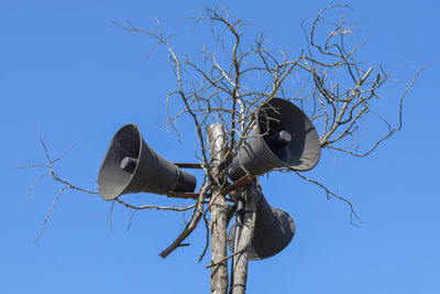Low angle view of megaphones on bare tree against clear blue sky