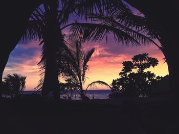 Silhouette trees against sky during sunset