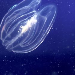 Full frame shot of fire against clear sky