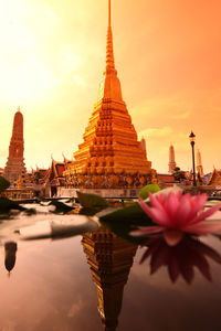 Close-up of lotus blooming in pond against temple during sunset