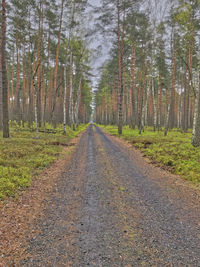 Road amidst trees in forest