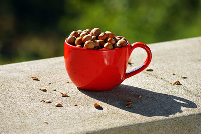 Close-up of red cup full of hazelnuts
