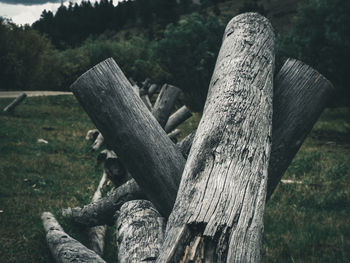 Close-up of old wooden log on field