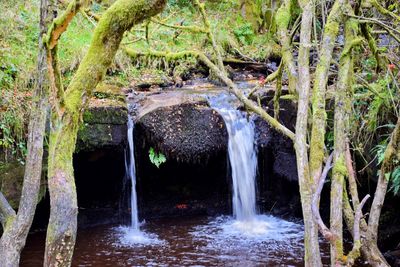 Scenic view of waterfall