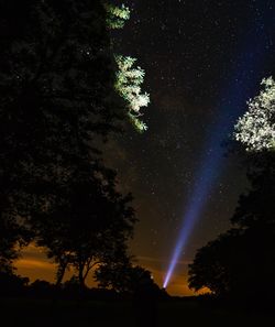 Low angle view of silhouette trees against sky at night