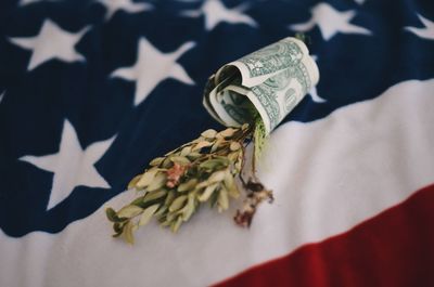 High angle view of currency with leaves on american flag