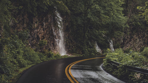 Road amidst trees in forest