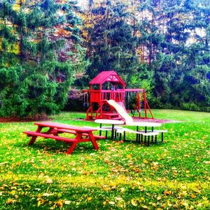 Empty bench on grassy field