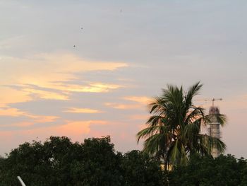 Palm trees against sky during sunset