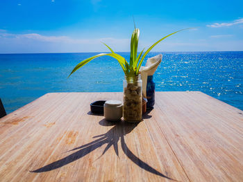 Coconut palm tree by sea against sky