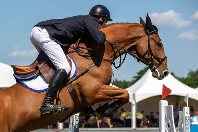 Man riding horse