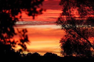 Silhouette trees against dramatic sky during sunset