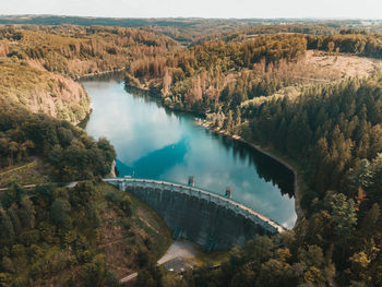 High angle view of river passing through plants