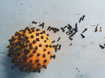 Close-up of cloves on orange