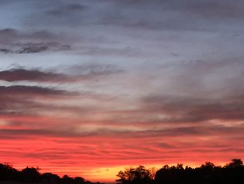 Silhouette trees against dramatic sky during sunset
