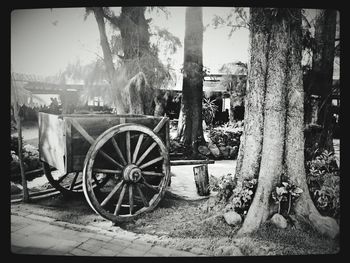 Train at roadside