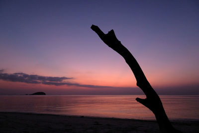 Silhouette person on beach against sky during sunset