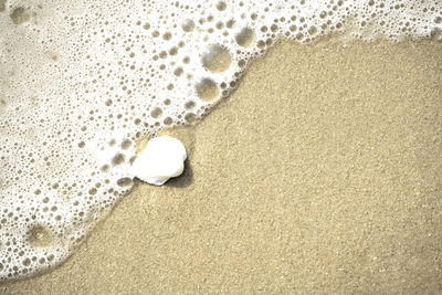 High angle view of bubbles on beach
