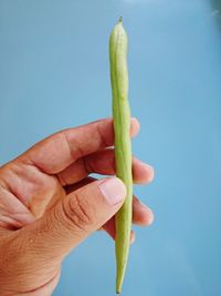 Human hand holding leaf against blue sky