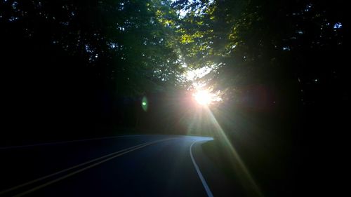 Road passing through trees