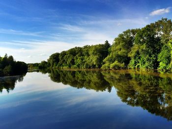 Reflection of trees in calm lake