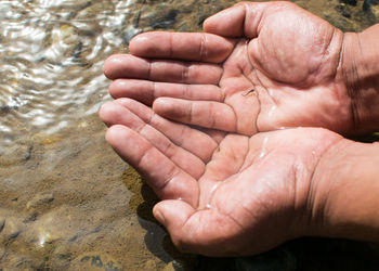 Cropped hands with young fish in water