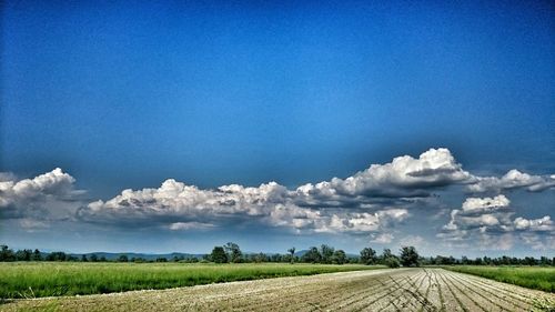 Scenic view of field against blue sky